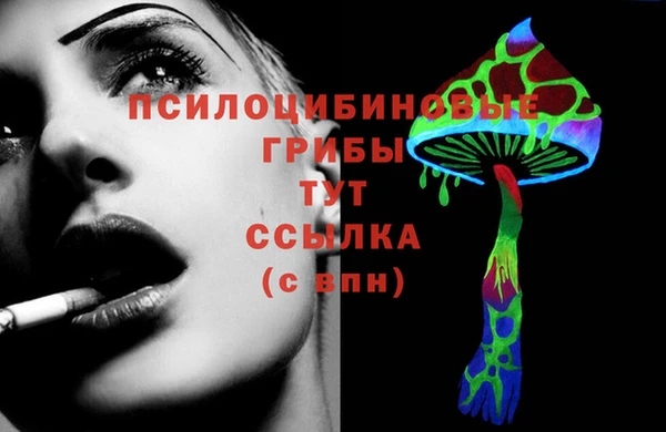 PSILOCYBIN Балабаново
