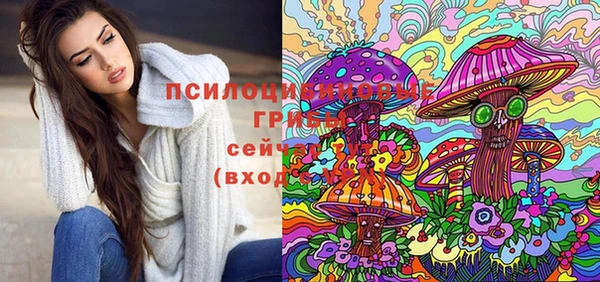 гидра Белокуриха