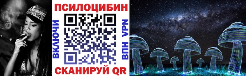 ссылка на мегу вход  Салаир  сайты даркнета состав  Галлюциногенные грибы GOLDEN TEACHER 